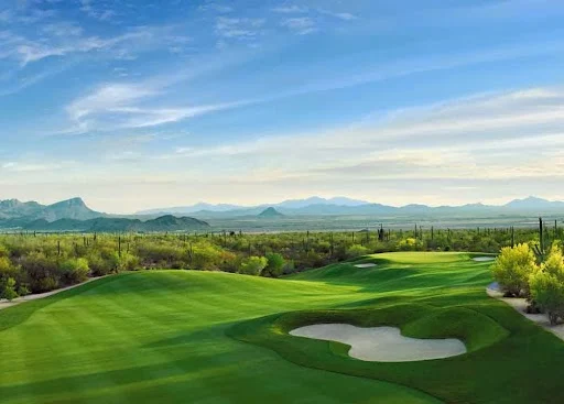 The Gallery at Dove Mountain